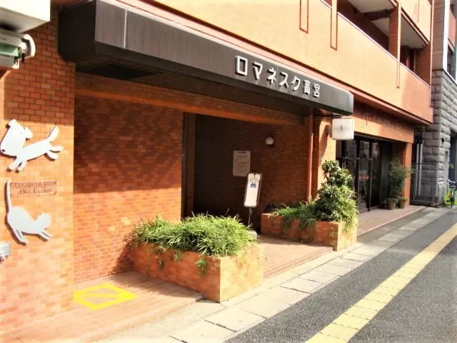 サムネイル7